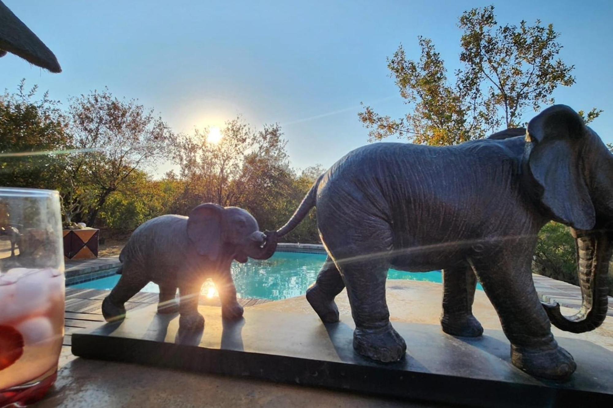 Bushvilla Umoja Kruger Phalaborwa Esterno foto