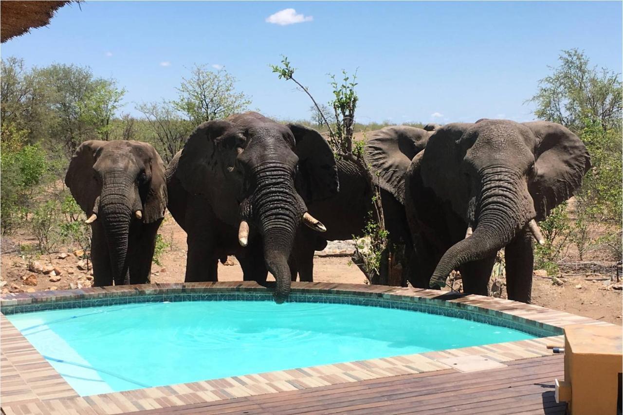 Bushvilla Umoja Kruger Phalaborwa Esterno foto